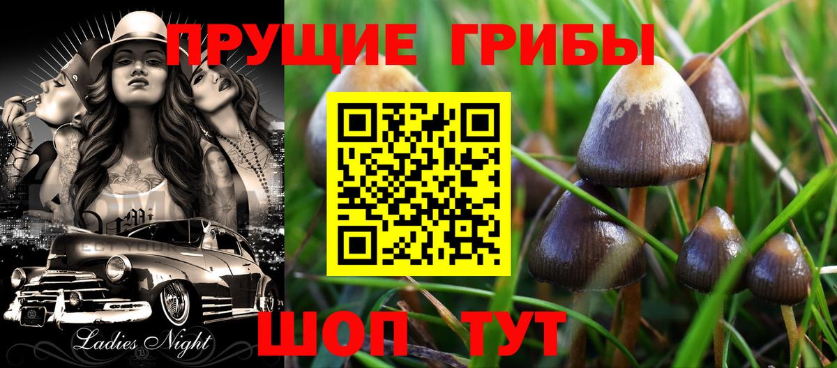 Галлюциногенные грибы Magic Shrooms Сергиев Посад